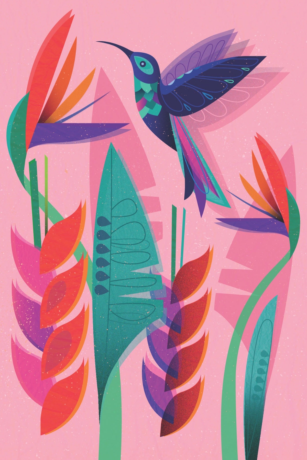 Hummingbird Postcard