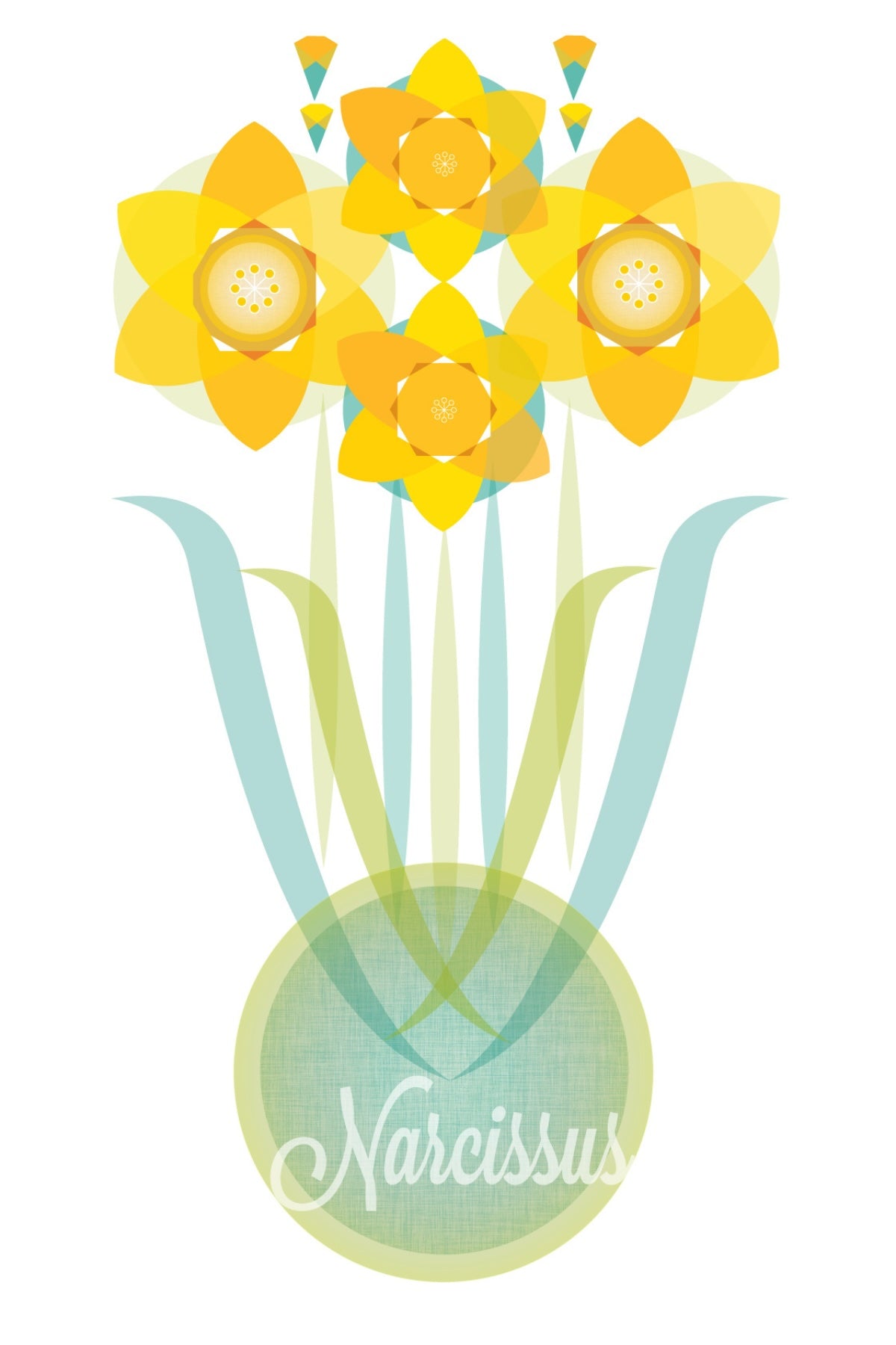 Narcissus Postcard