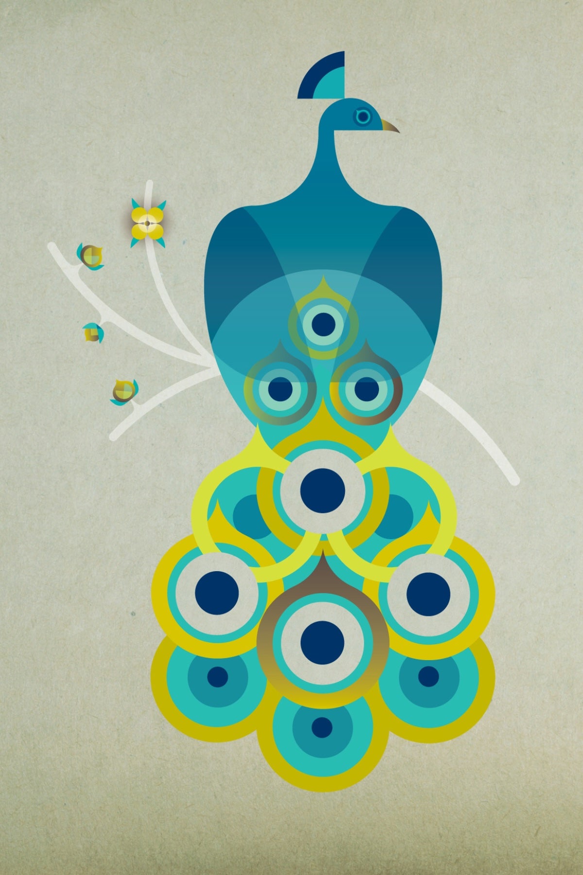 Peacock Postcard