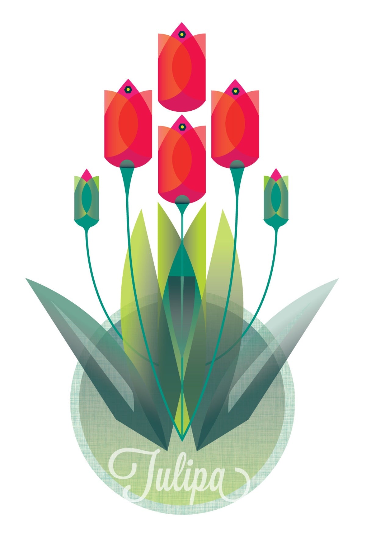 Tulipa Postcard