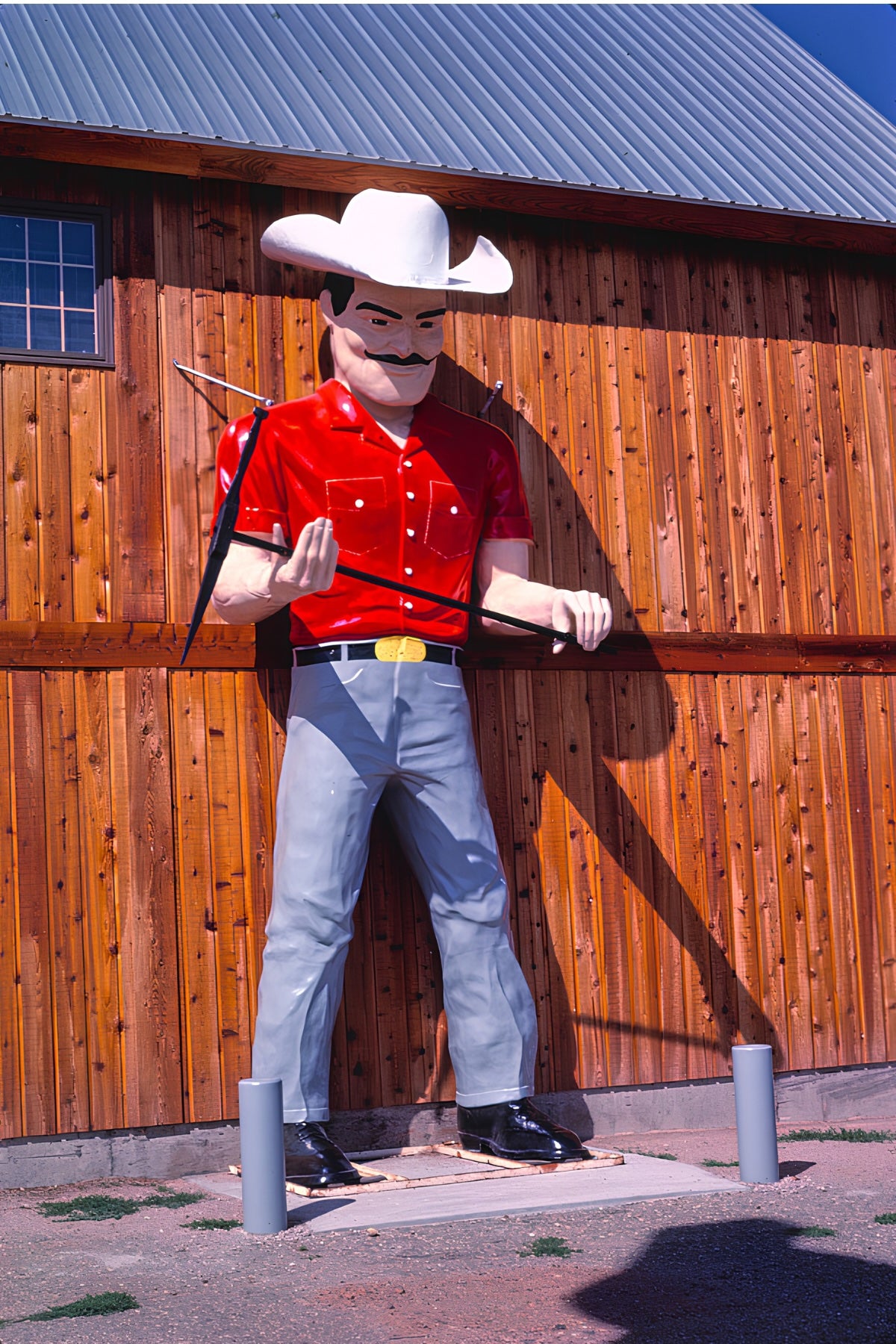 Cowboy Postal Card