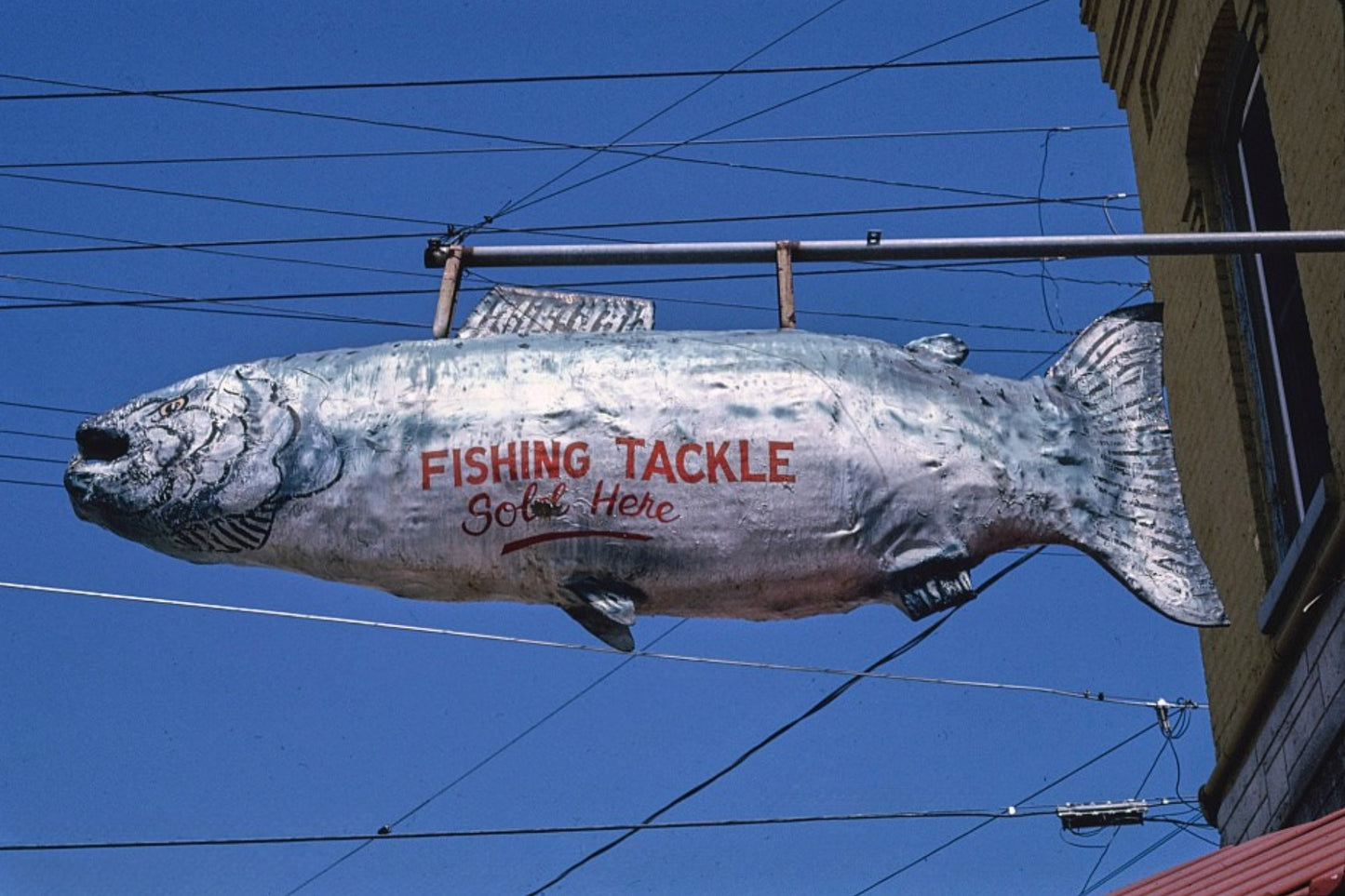 Fishing Tackle Postal Card