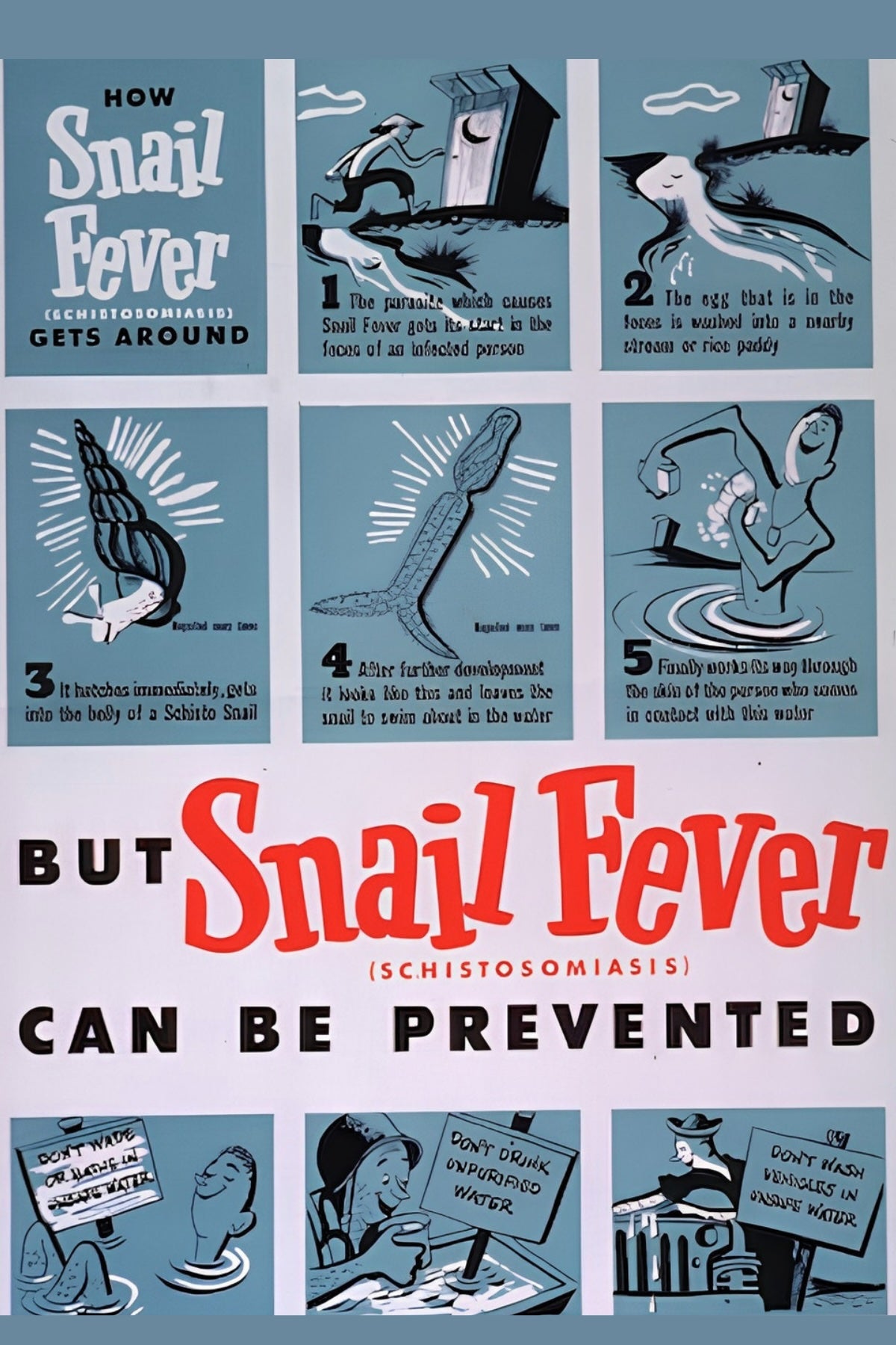 Snail Fever Postal Card