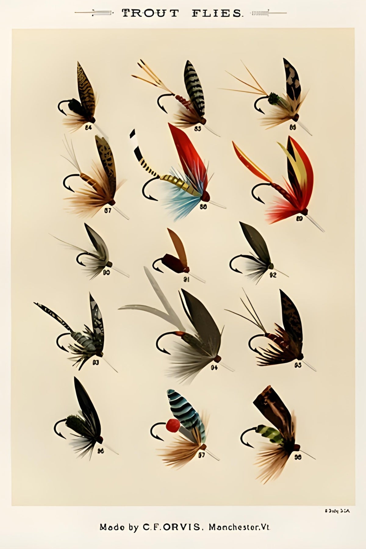 Trout Flies Postal Card