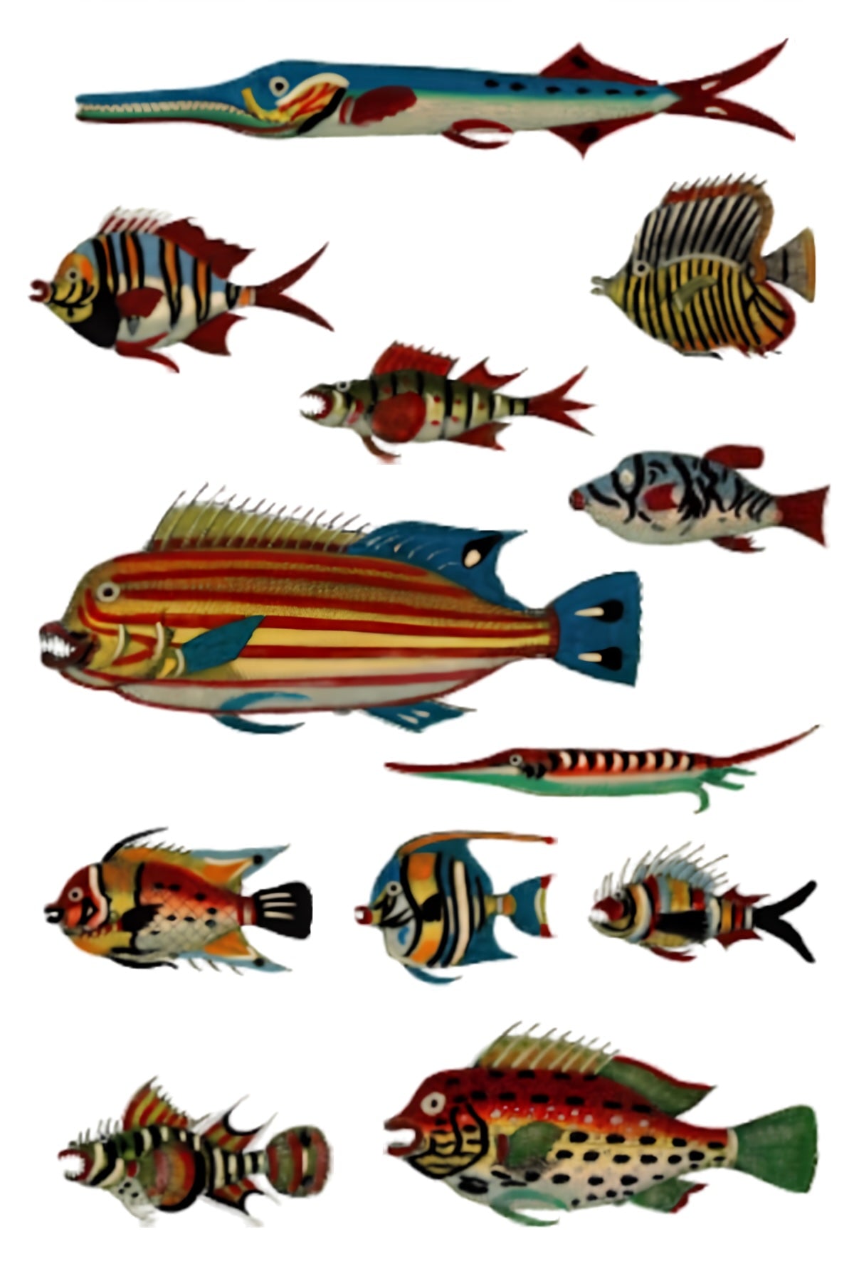 Colourful Fish Postal Card