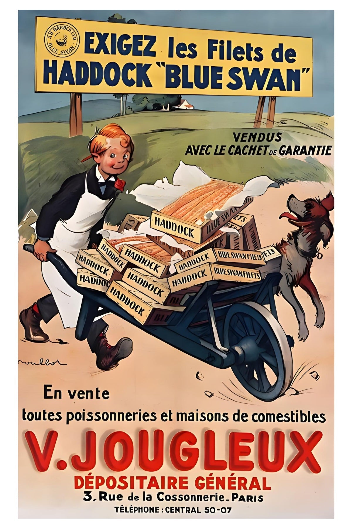 Haddock Blue Swan Postal Card