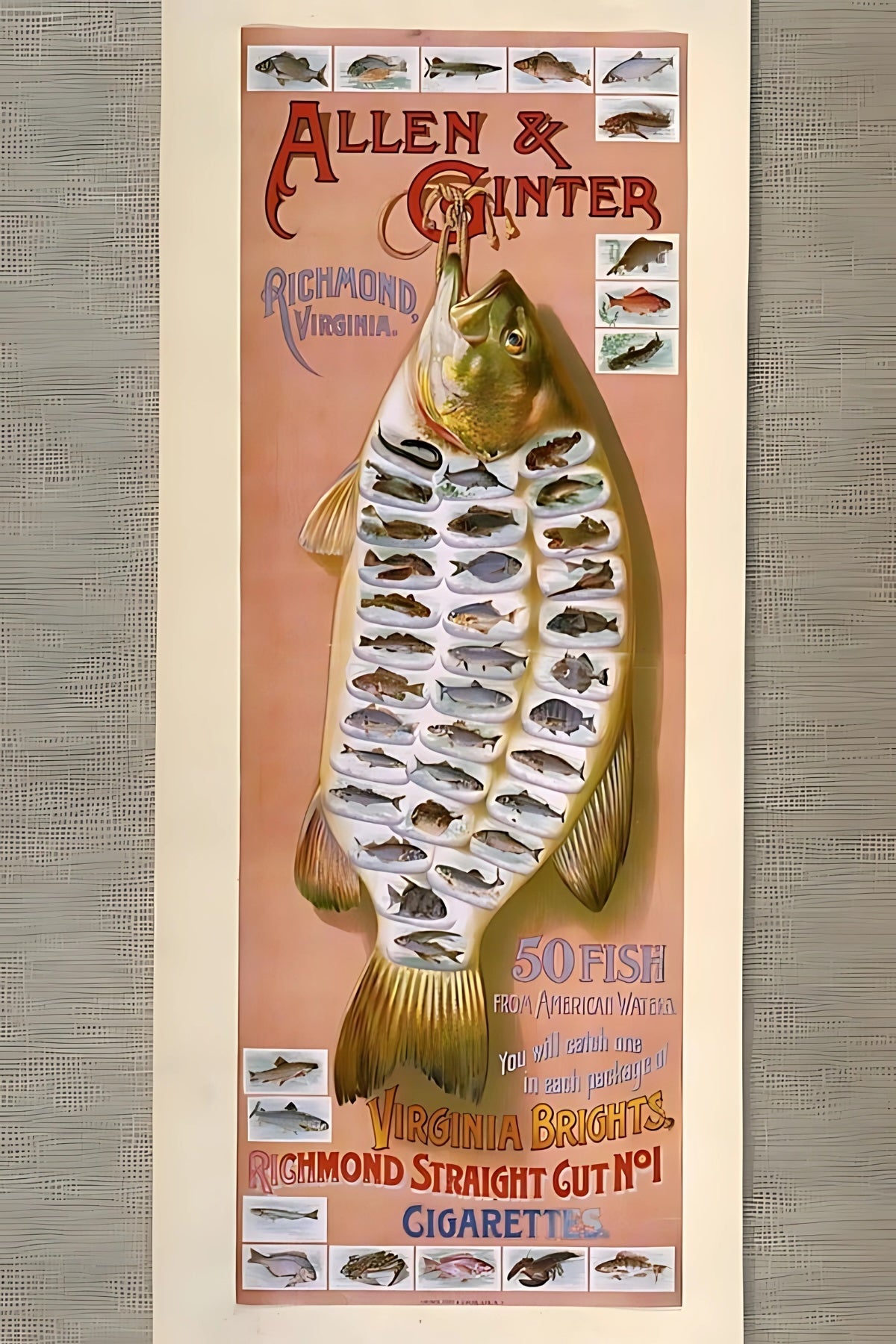 Allen & Ginter Cigs and Fish