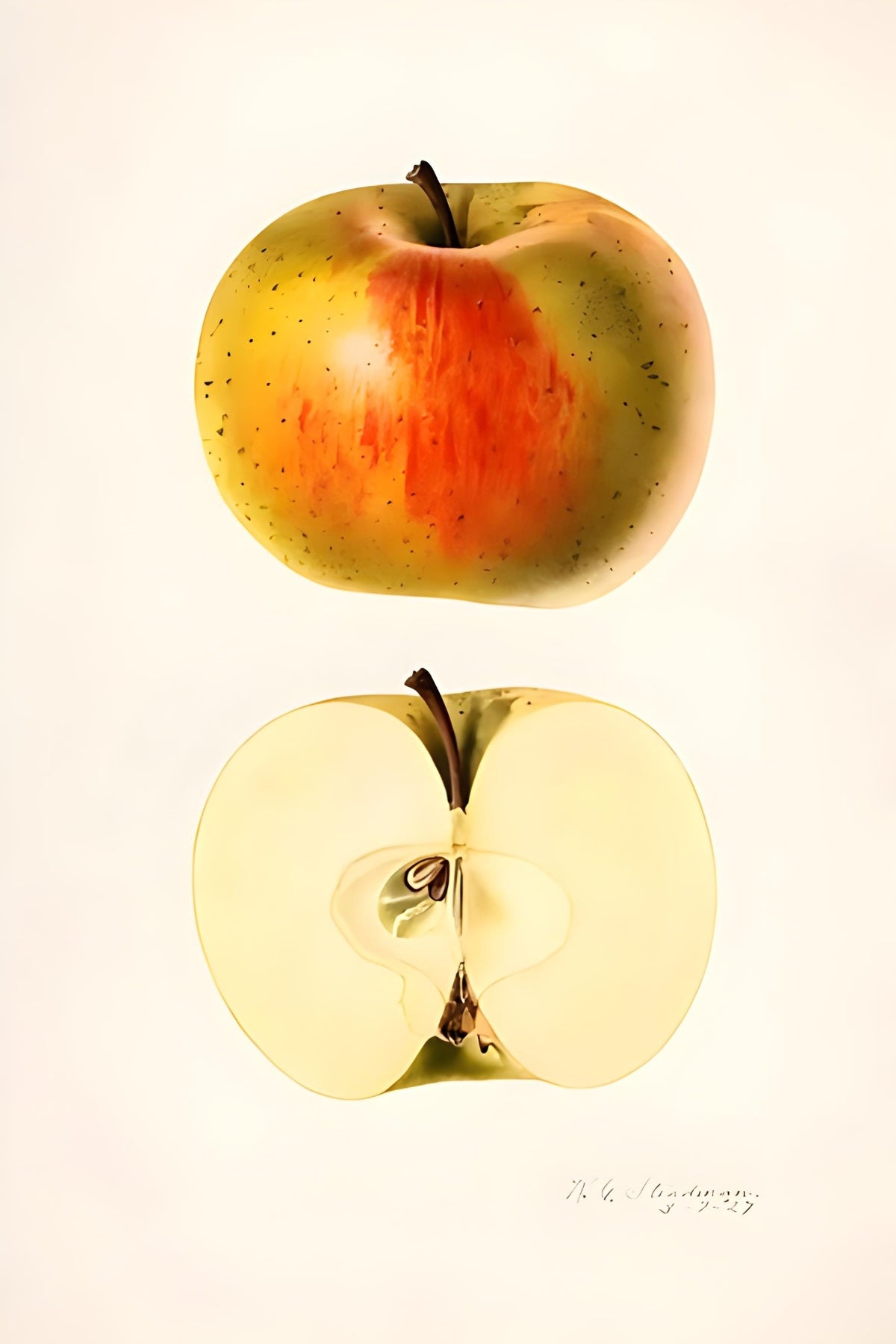 Apple-Postkarte