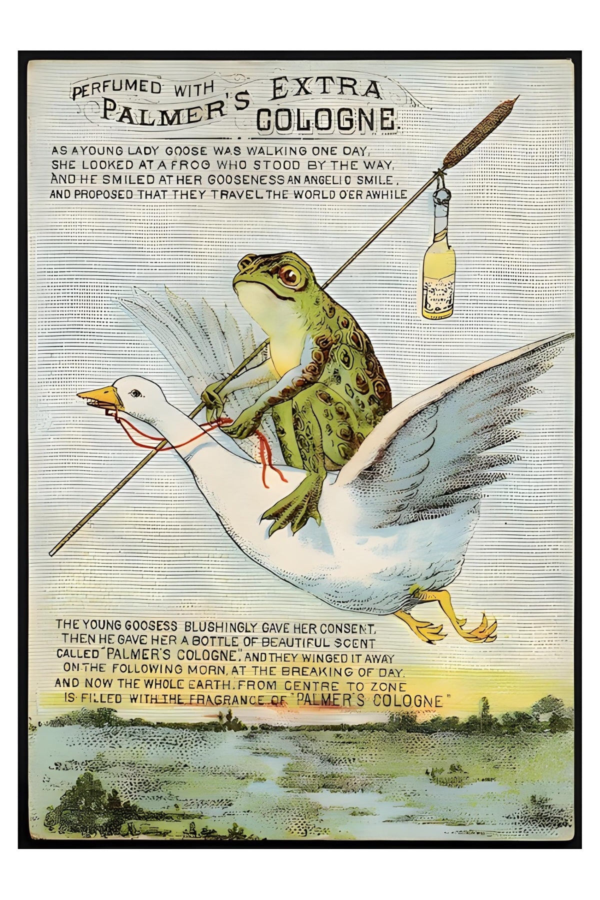 Palmer's Extra Cologne Postal Card