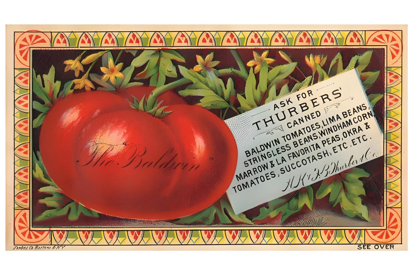 Thurber's Tomato Postal Card