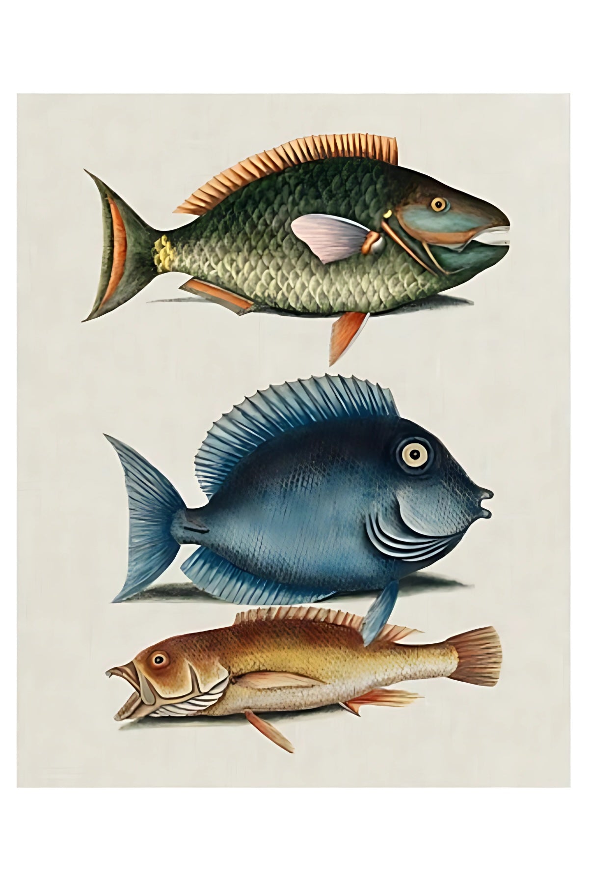 Three Little Fishies Postal Card