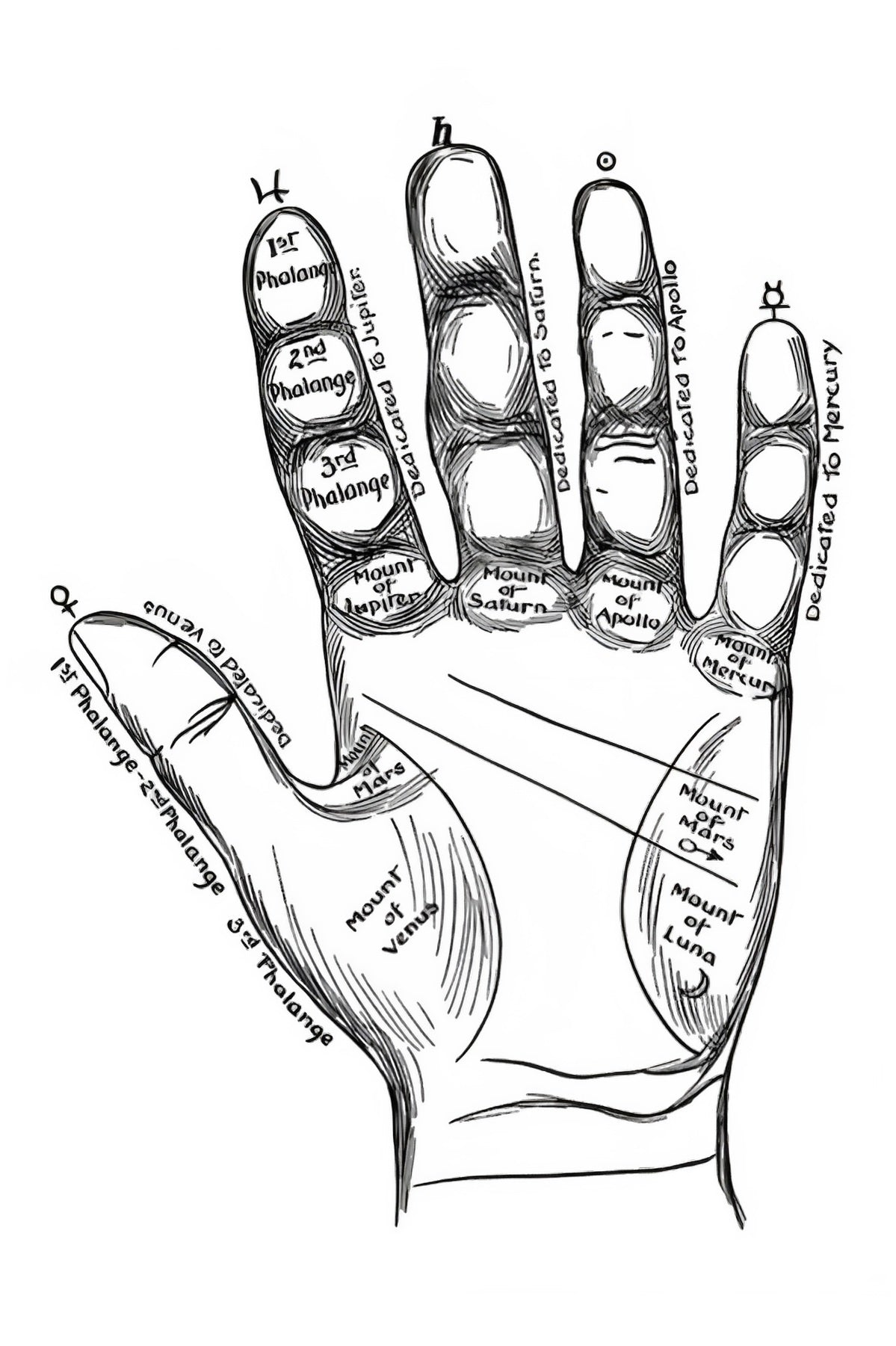 Hand Map Postal Card
