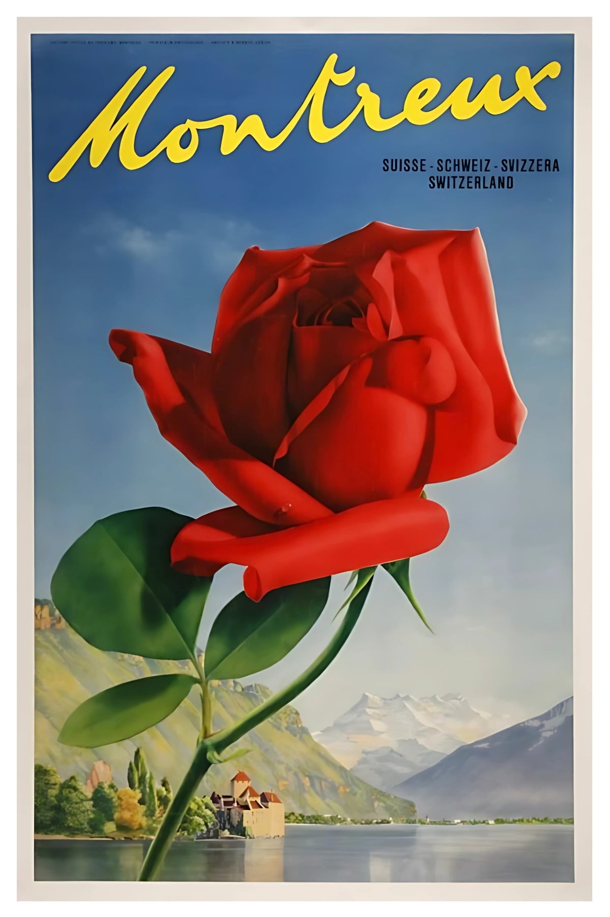 Montreux Rose Postkarte