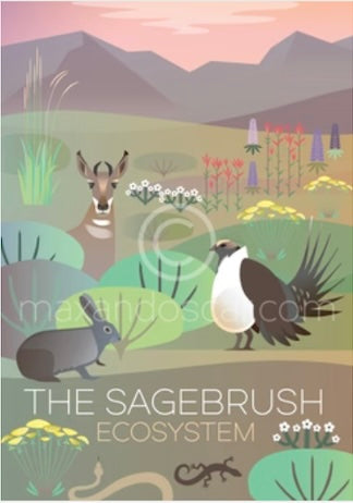Das Sagebrush-Ökosystem Postkarte