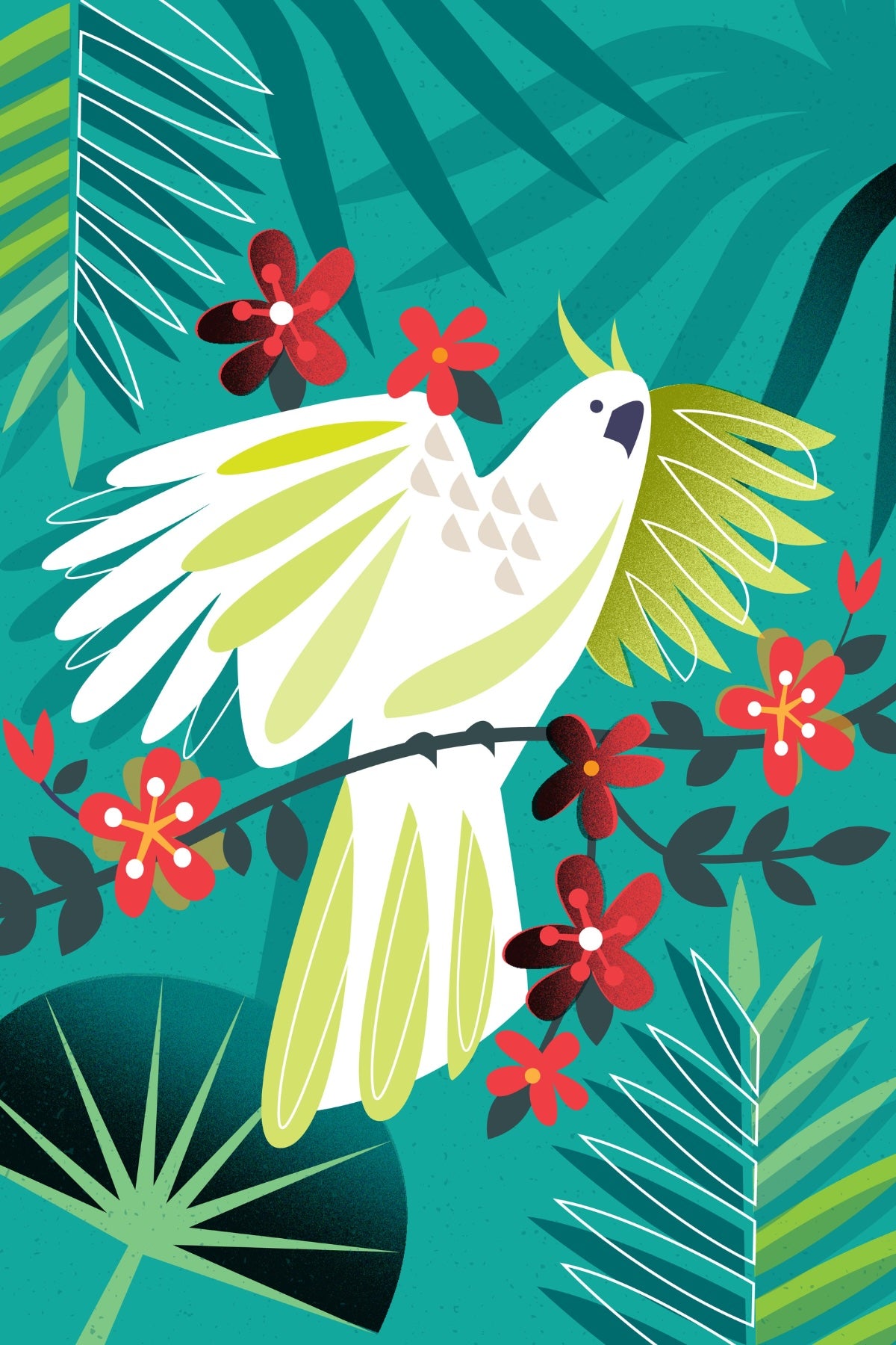 Parrot Postcard