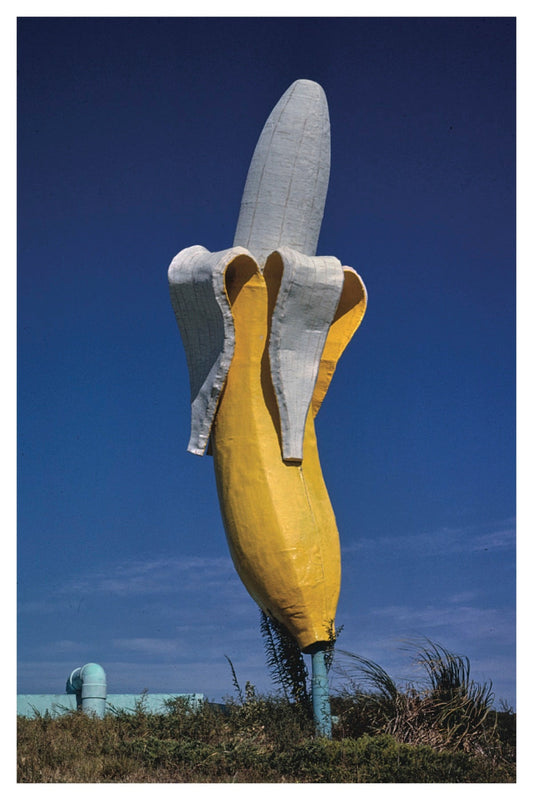 BANANA POSTAL CARD
