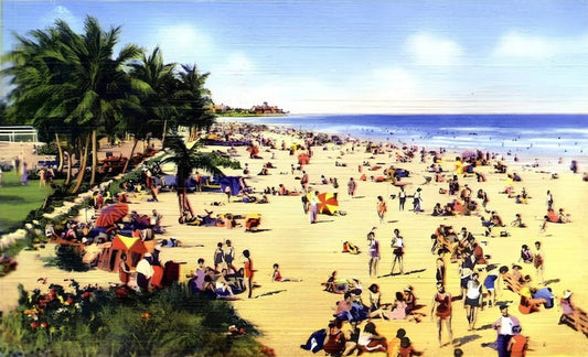 Miami Beach Winter Postkarte