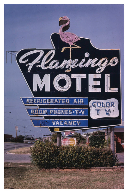 FLAMINGO MOTEL POSTKARTE