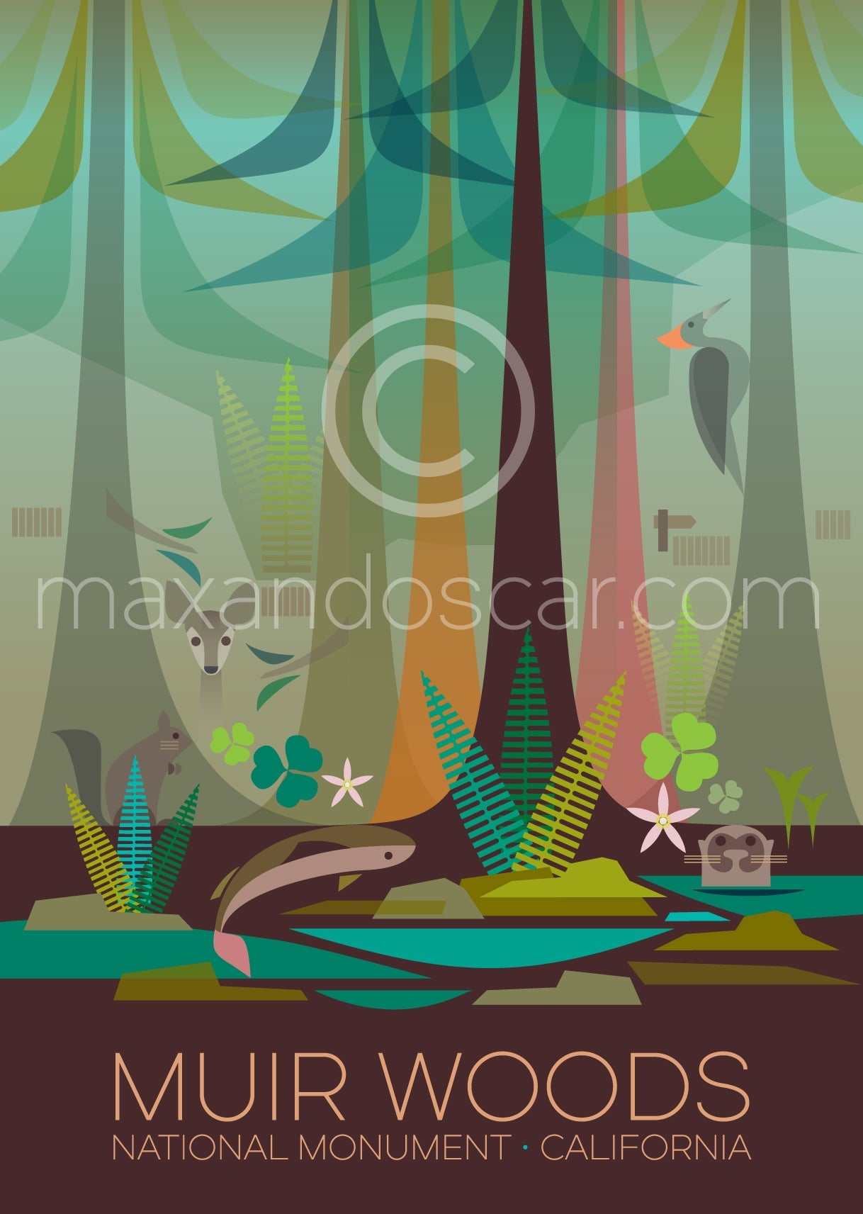 LTP - Muir Woods Postcard