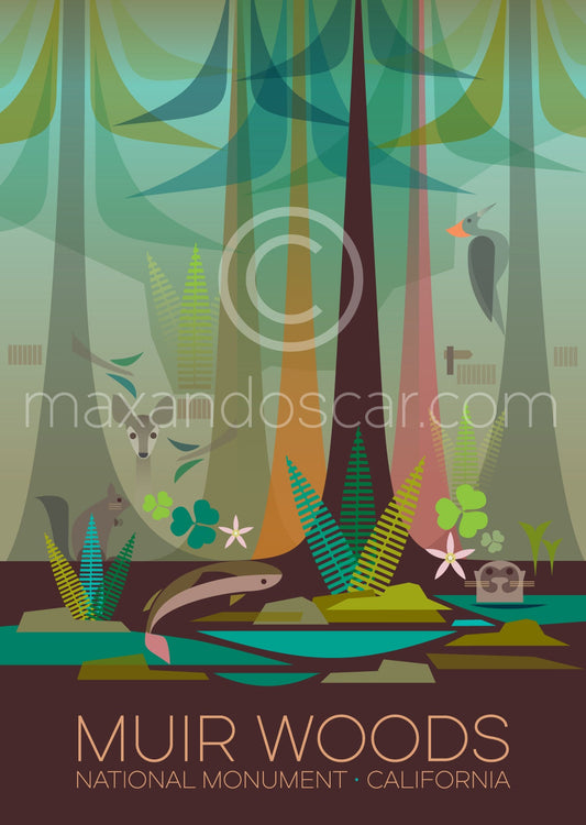 LTP - Muir Woods Postcard