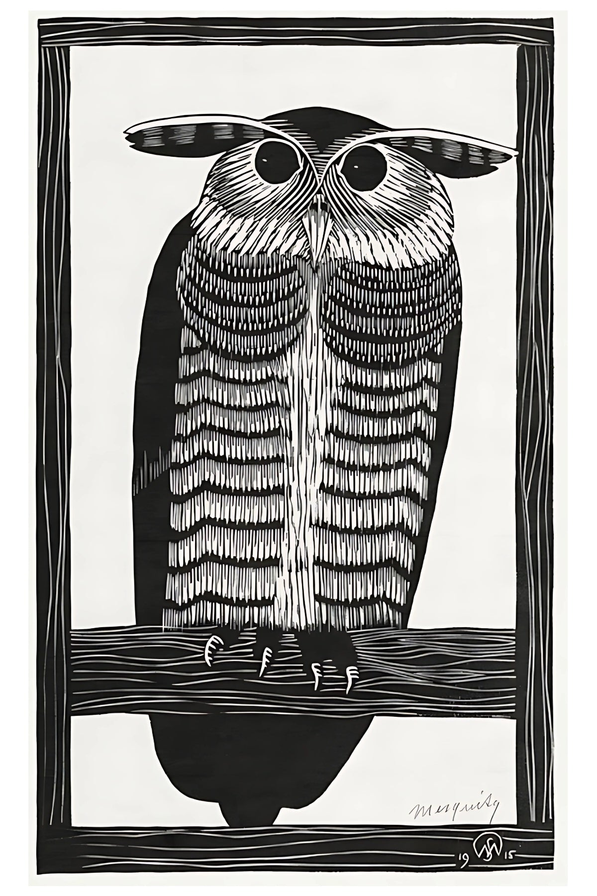 Owl Postal Card