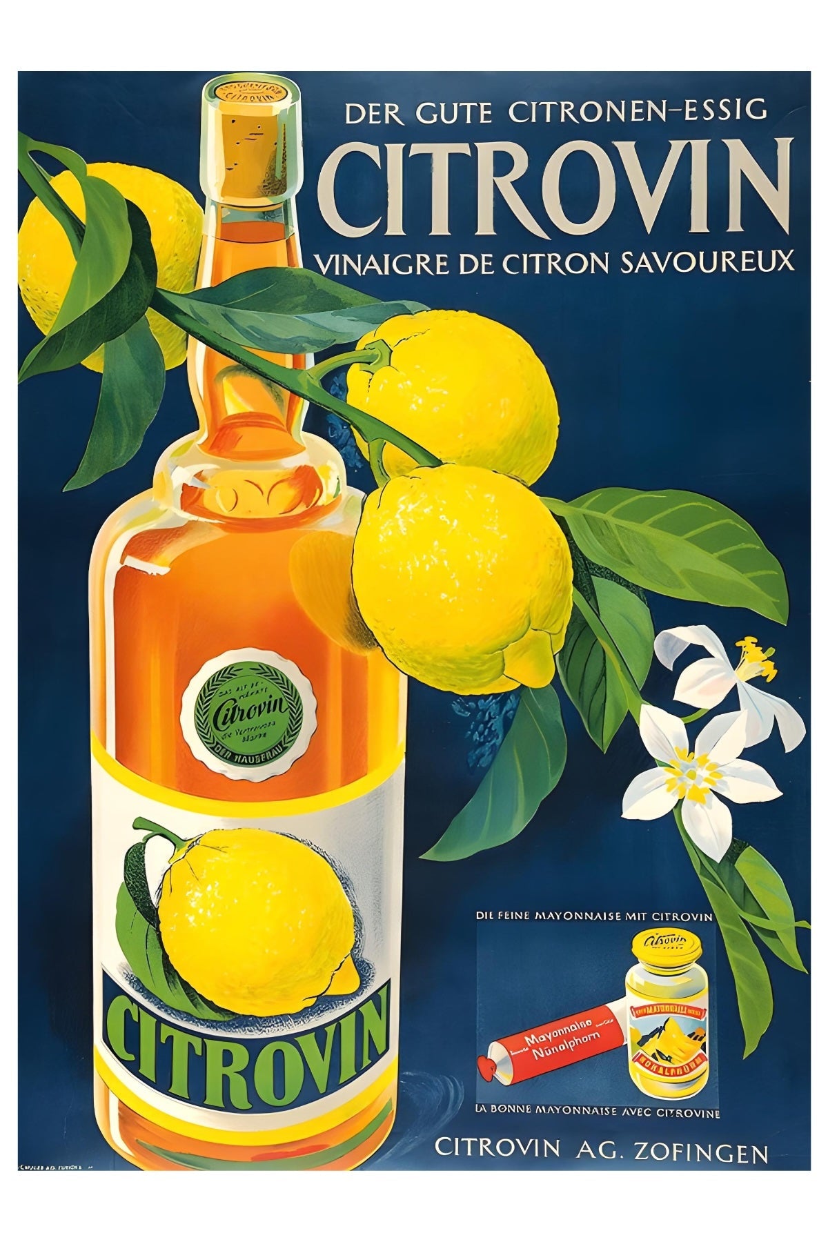 Citrovin Postal Card