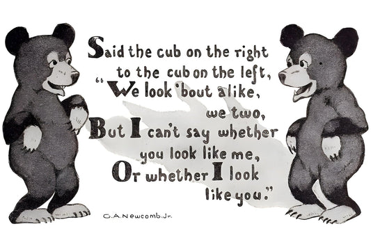 Two Cubs Postal Card