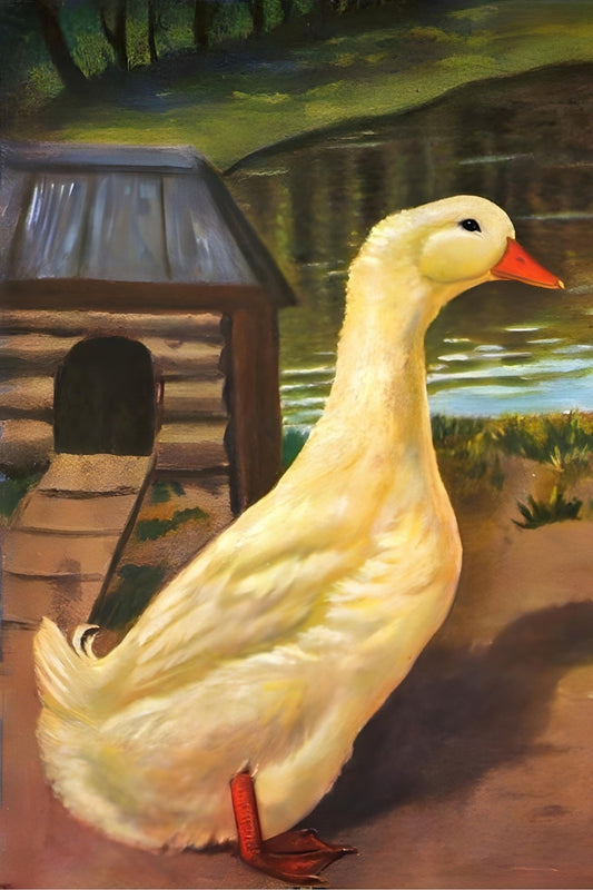Happy Duck Postal Card