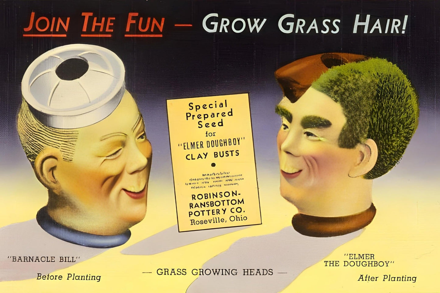 Grow Grass Hair Postal Card