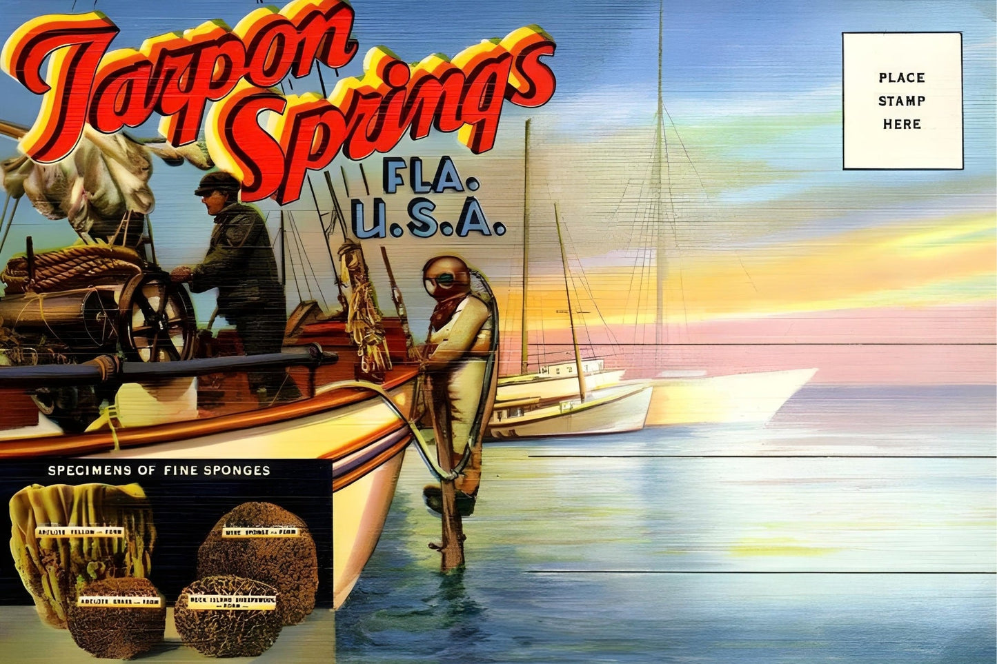 Tarpon Springs Postal Card