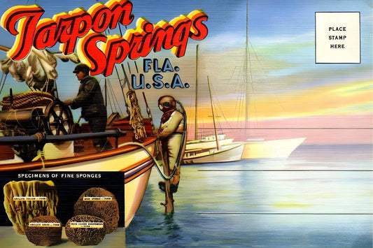 Tarpon Springs Postal Card