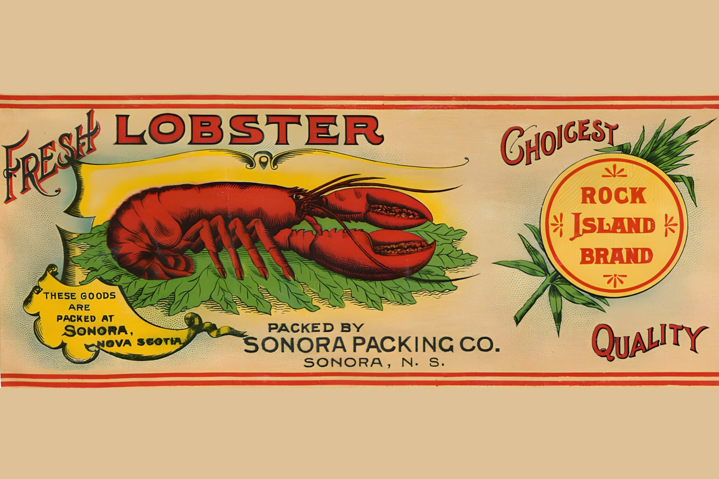 Fresh Lobster Postal Card