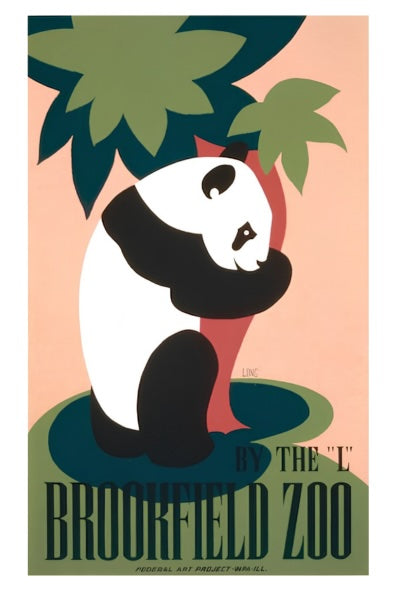 Panda Brookfield Zoo Postal Card