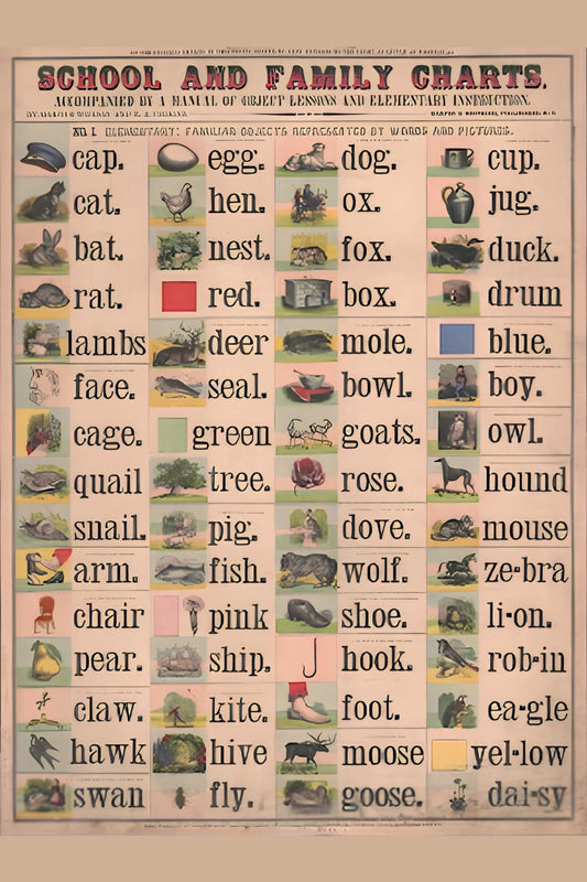 Words School And Family Postal Card