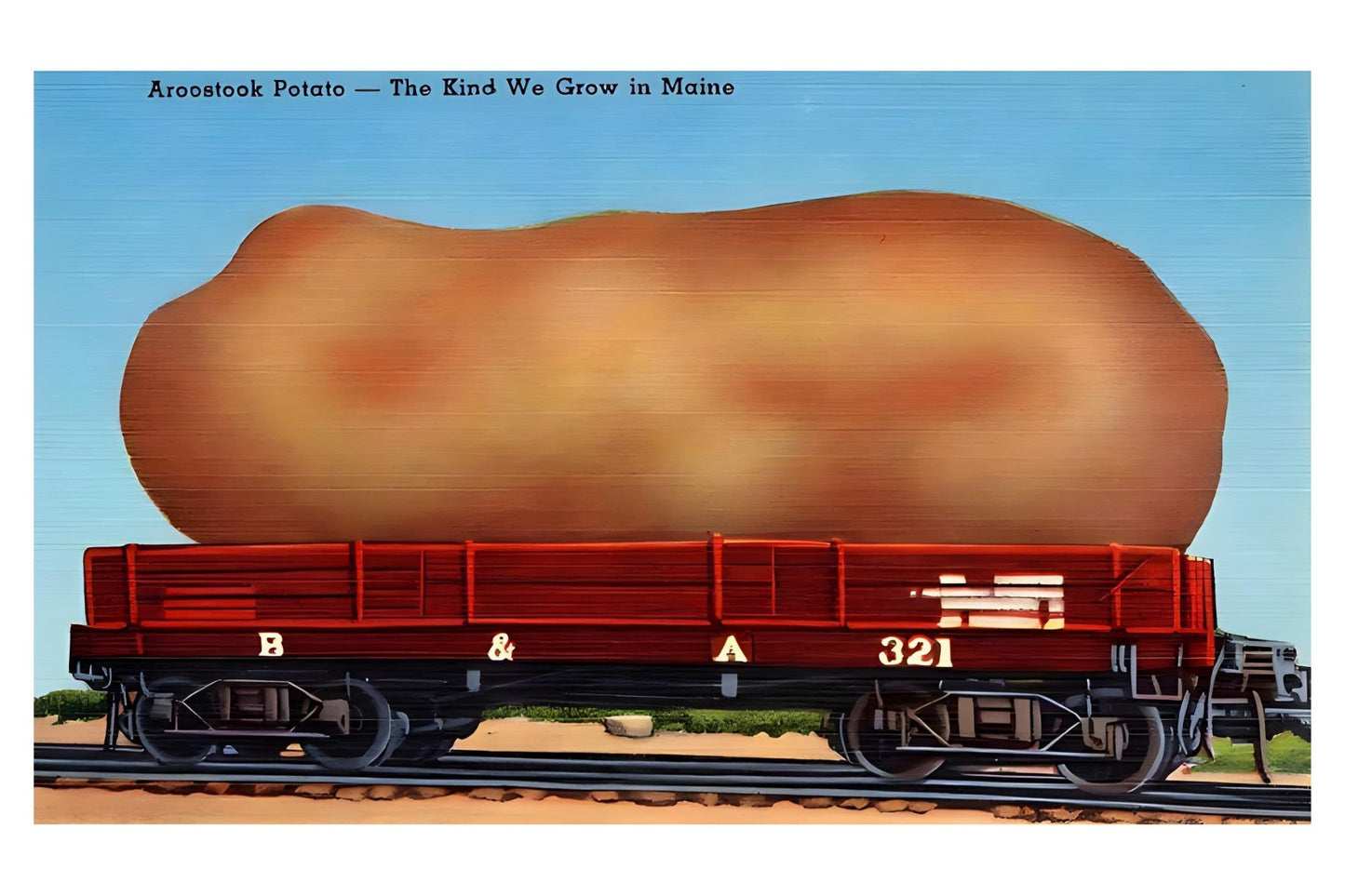 Aroostook Potato Postal Card