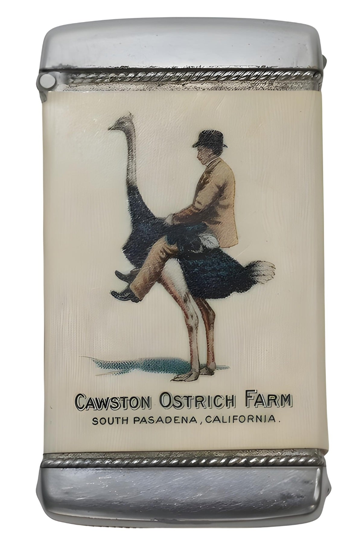 Cawston Straußenfarm Postkarte