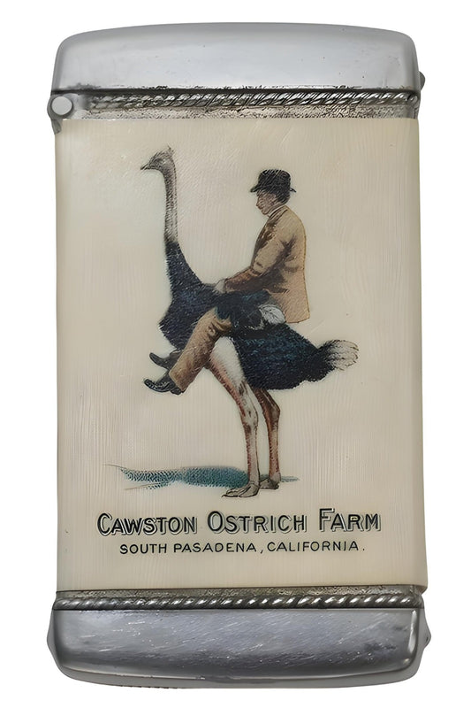 Cawston Straußenfarm Postkarte