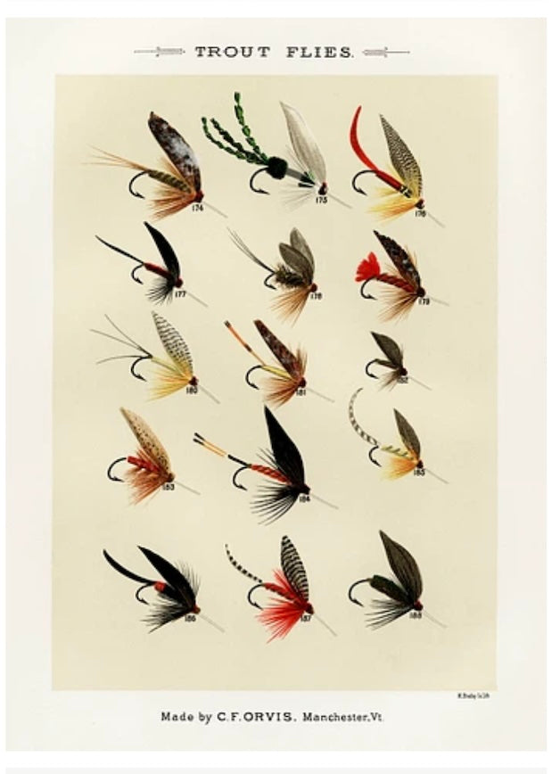 Trout Flies 2 Postal Card
