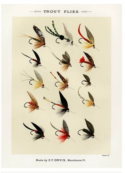 Trout Flies 2 Postal Card