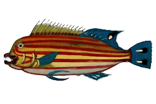 Big Colourful Fish Postal Card