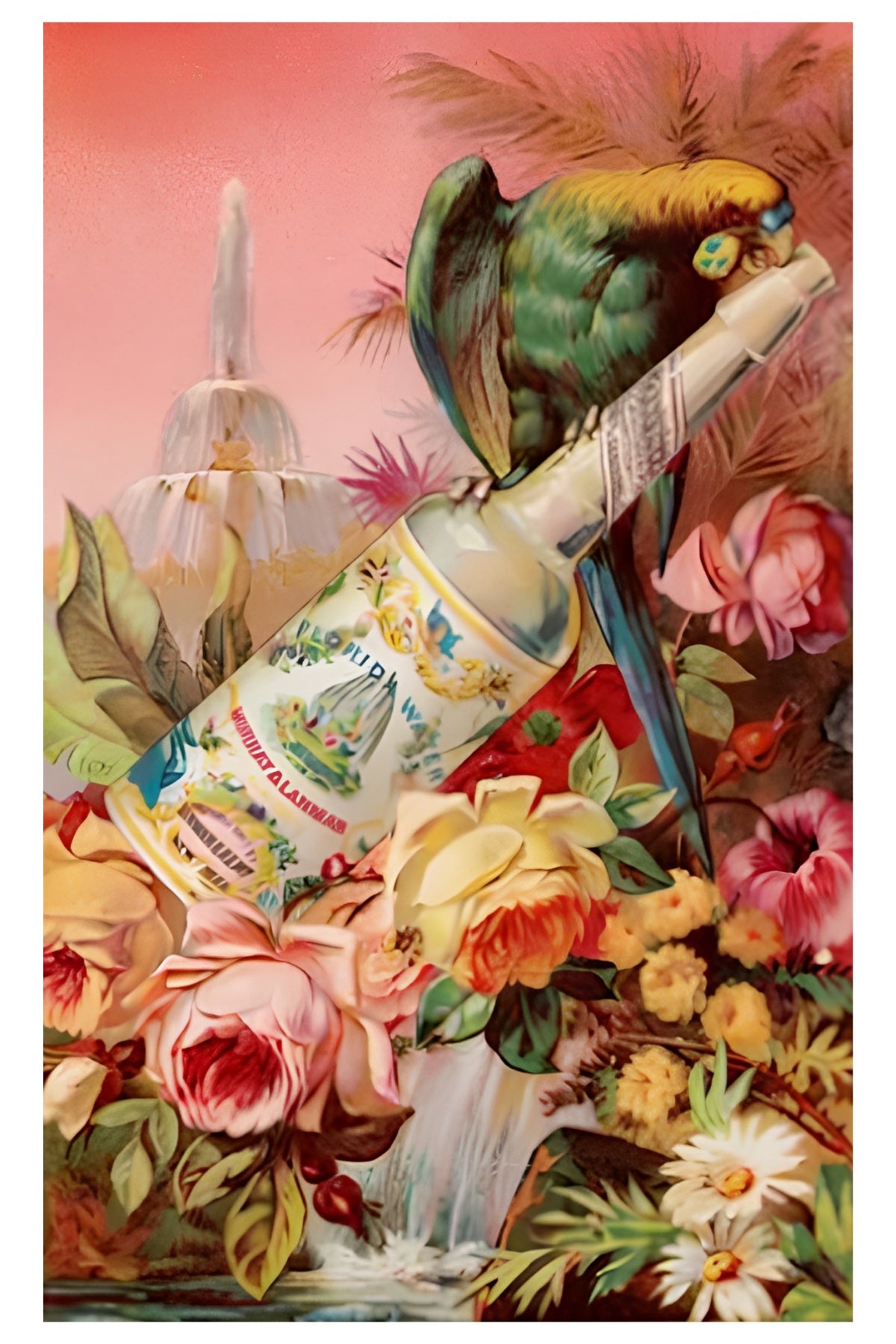 Florida Water 2 Postal Card