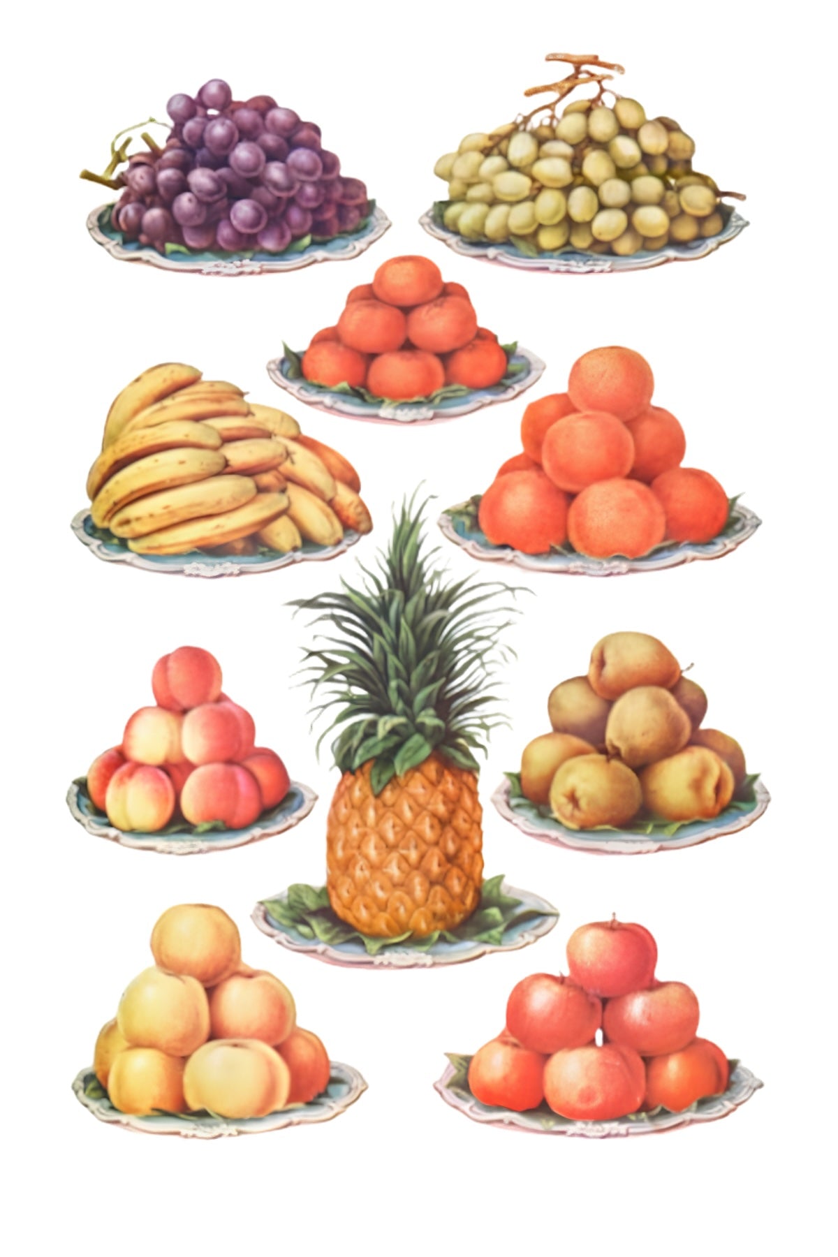 Fruit Service Postal Card