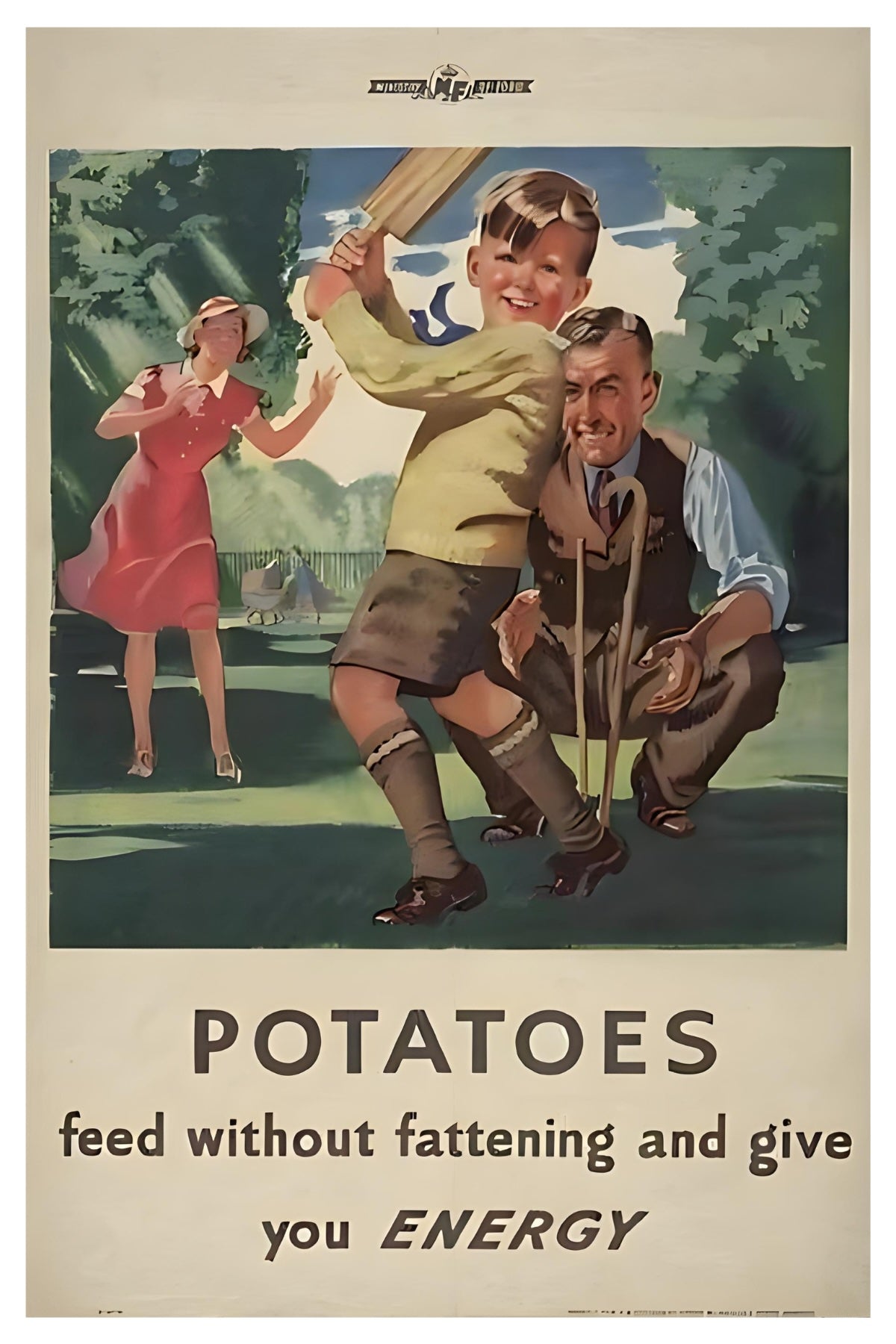 Potatoes Give You Energy Postal Card