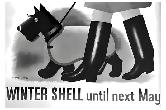 Winter Shell Postal Card