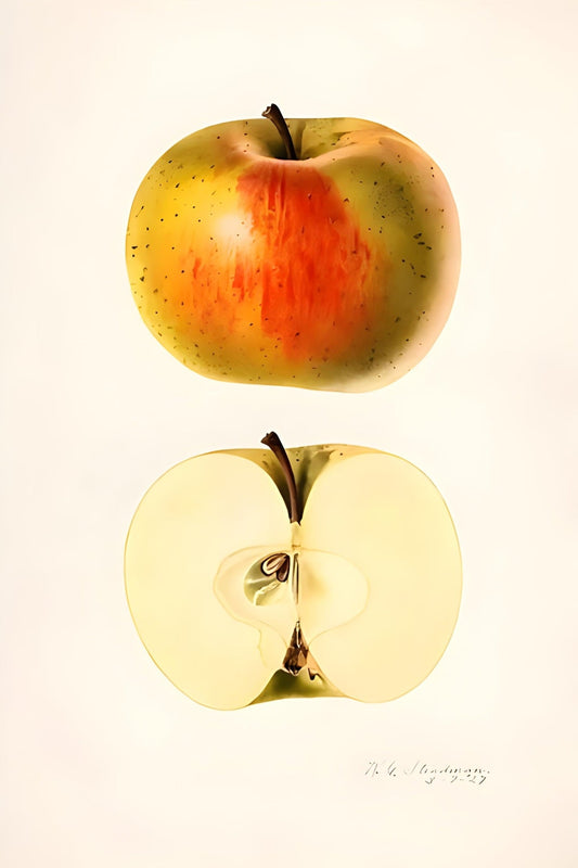 Apple-Postkarte