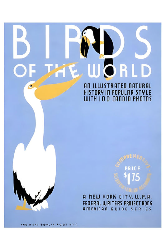 Birds of the World WPA Postal Card