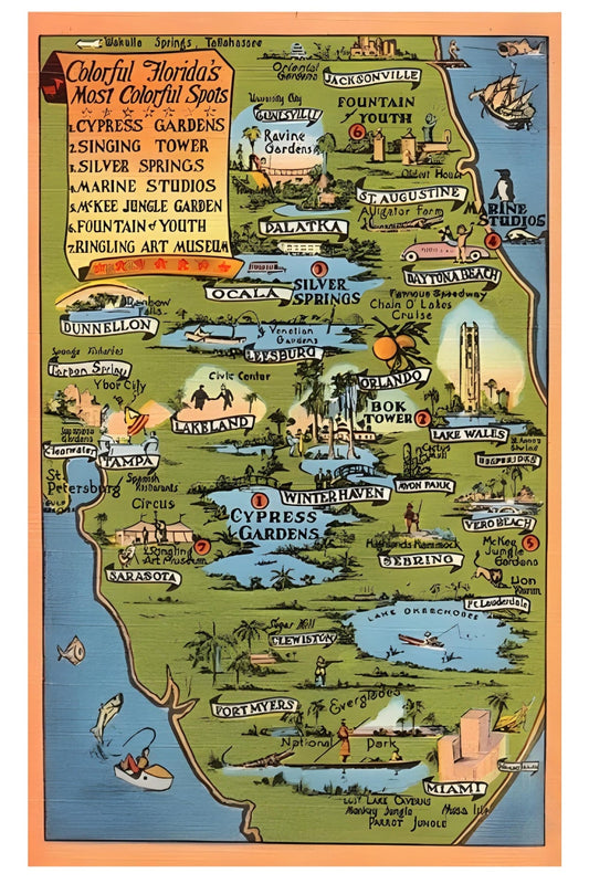 Florida Attractions Postal Card