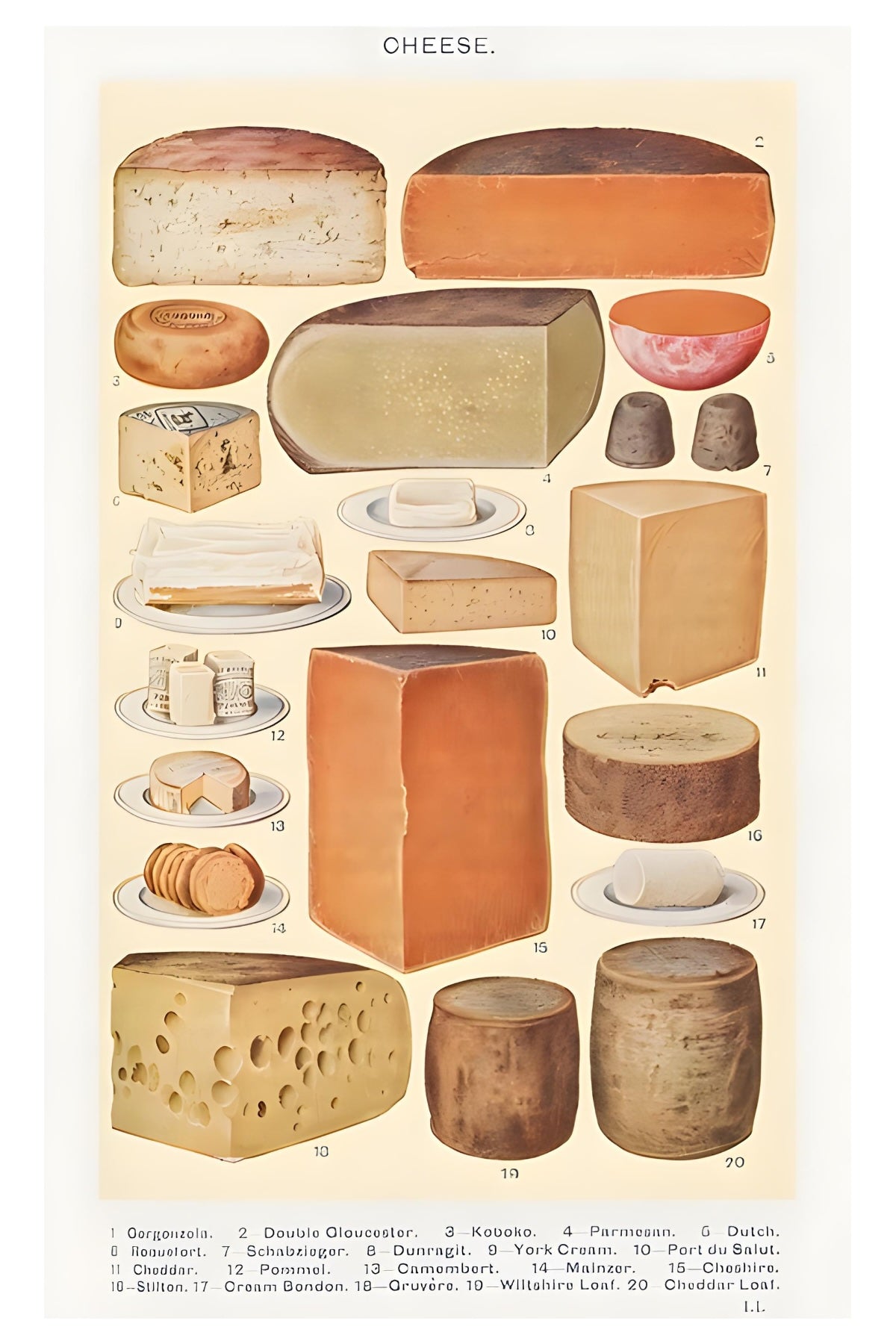 Cheese Please Postal Card