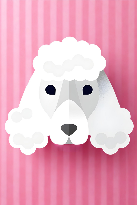POODLE POSTCARD