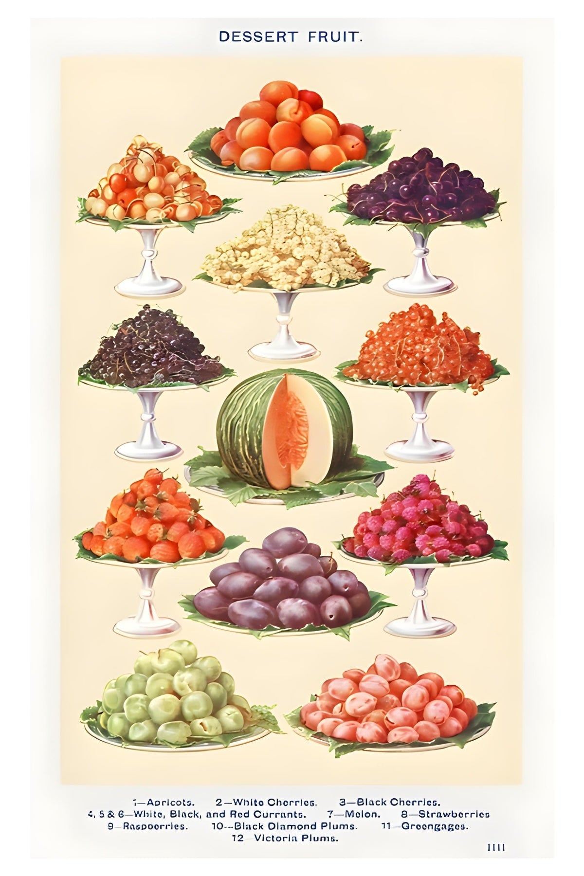 Dessert Fruit Postal Card